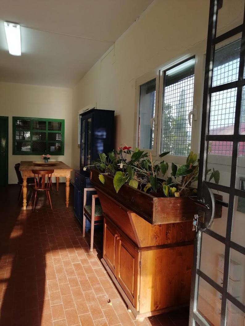 Bb Villa Bolgheri Mare Donoratico Buitenkant foto