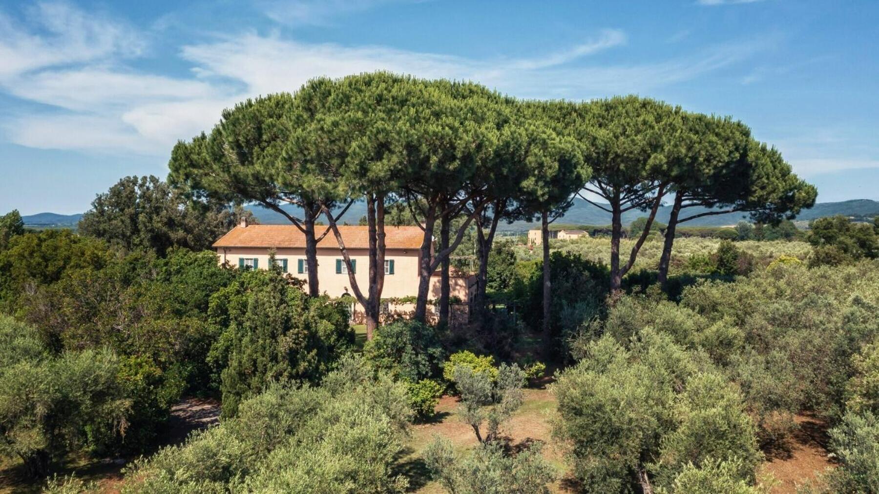 Bb Villa Bolgheri Mare Donoratico Buitenkant foto